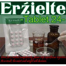 エルジートタブレット２４