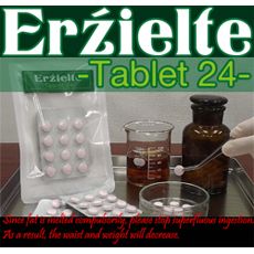 エルジートタブレット２４